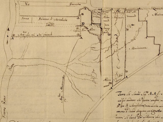 19.1 Aldrovandi 209 Tomo III fasc 24 (particolare)