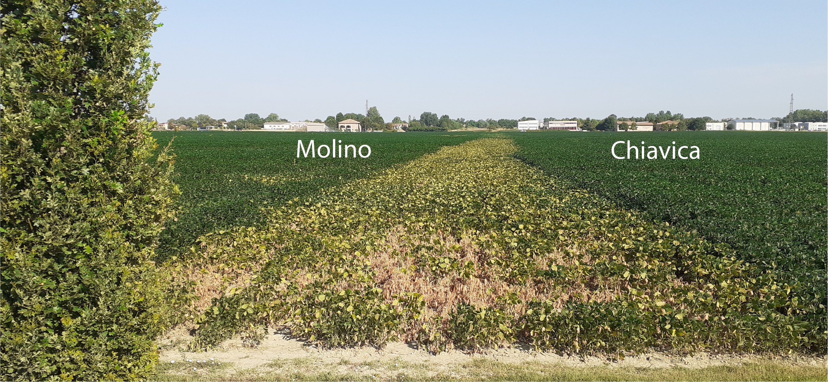 Canale bonifica con titoli