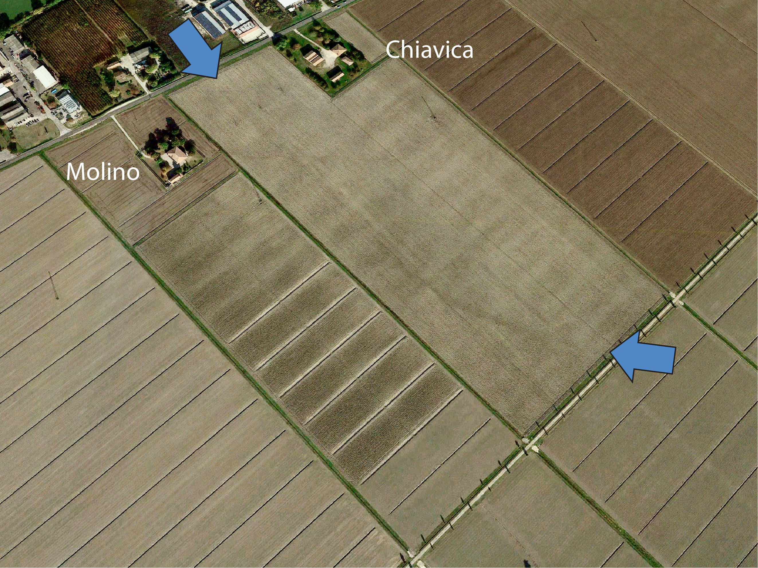 Canale risare con titoli