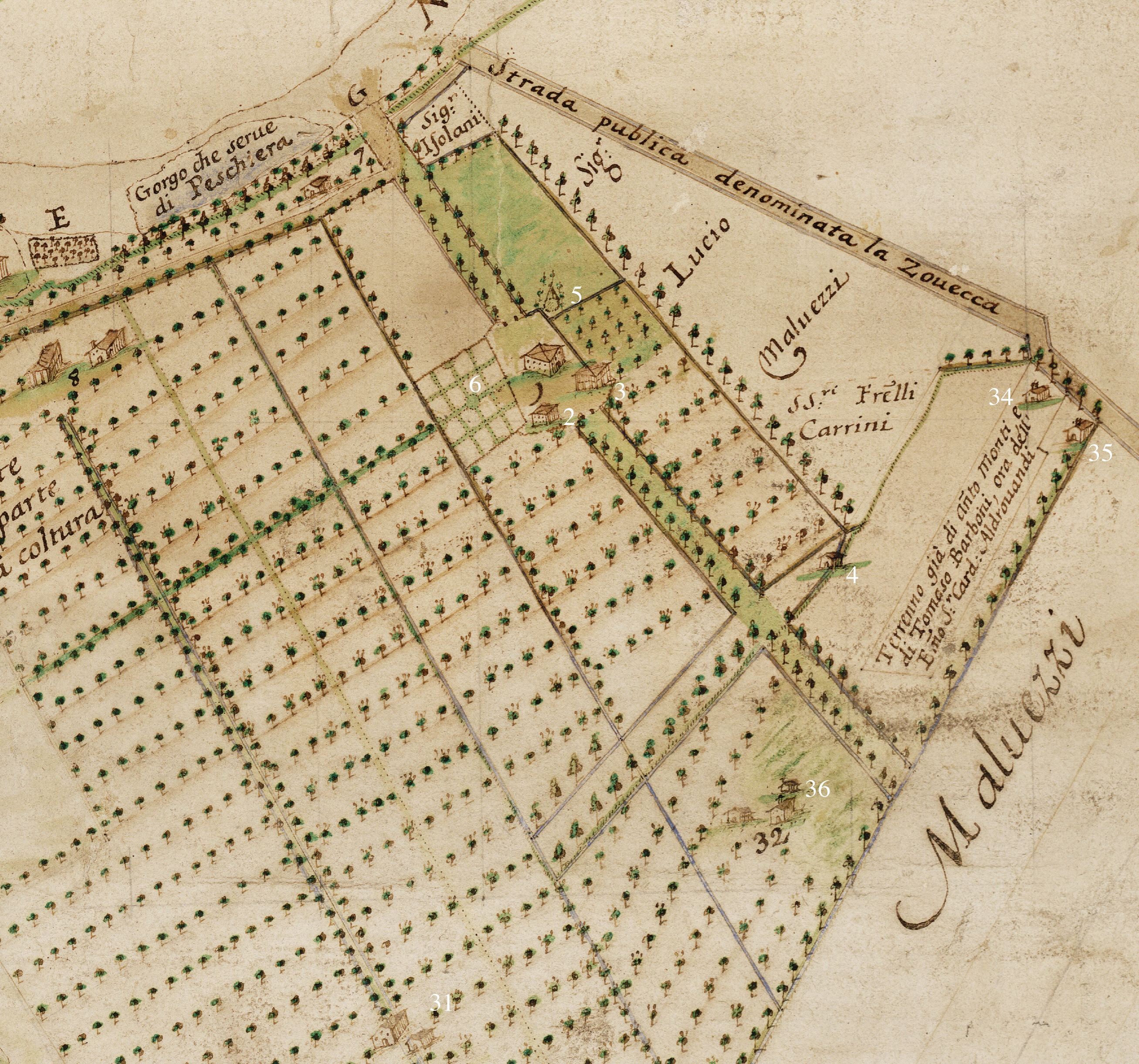 Palazzo e Muzzarella