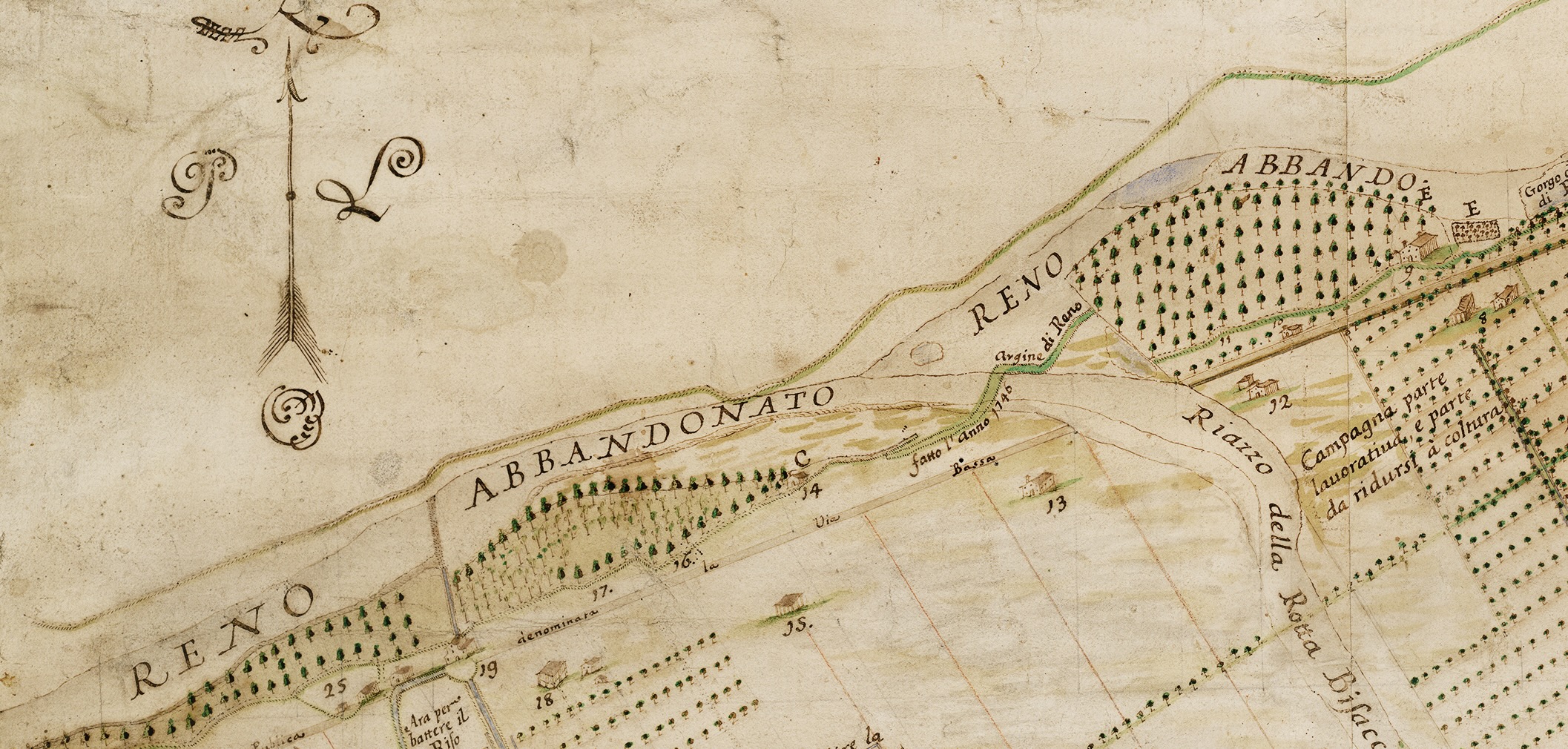 Pioppeti in golena - 1