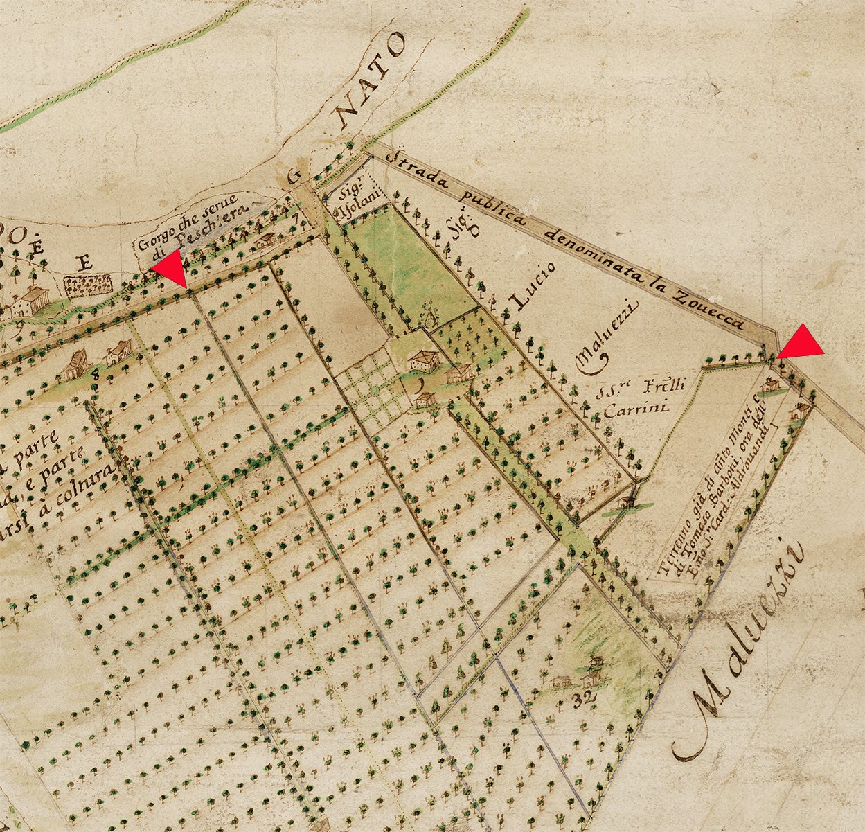 Carta Monti 1747 coronella Palazzo