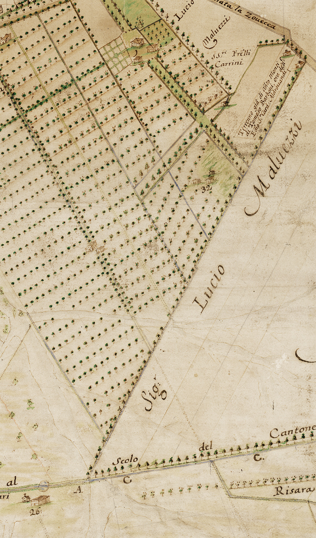 Carta Monti 1747 strada sul confine